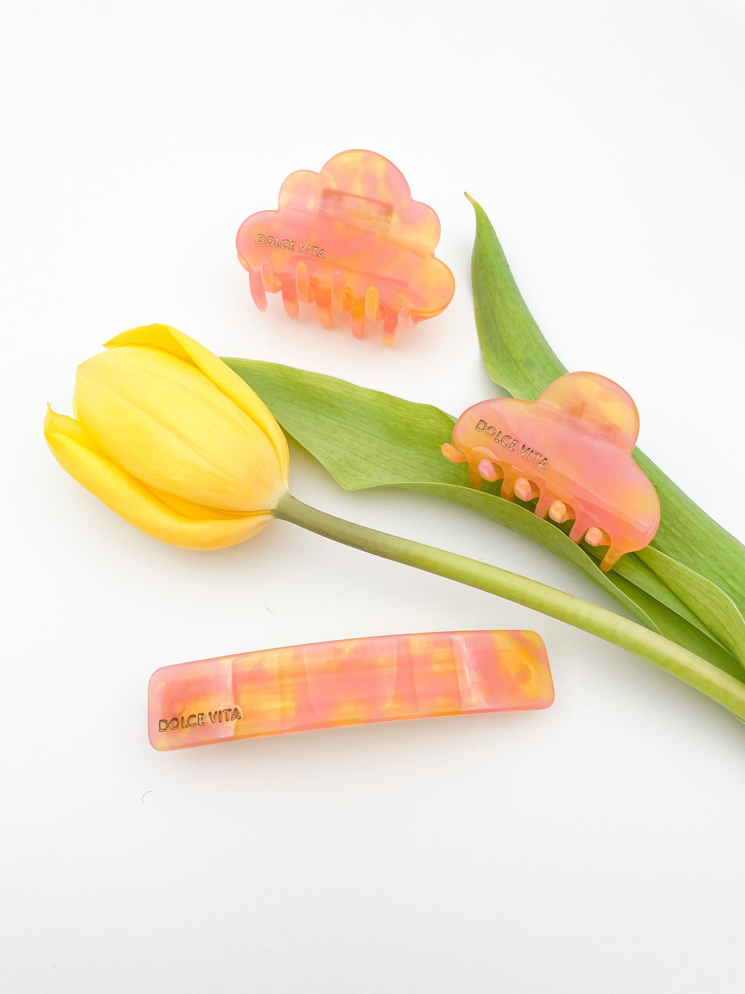 PRINTEMPS x 23 DEGRES