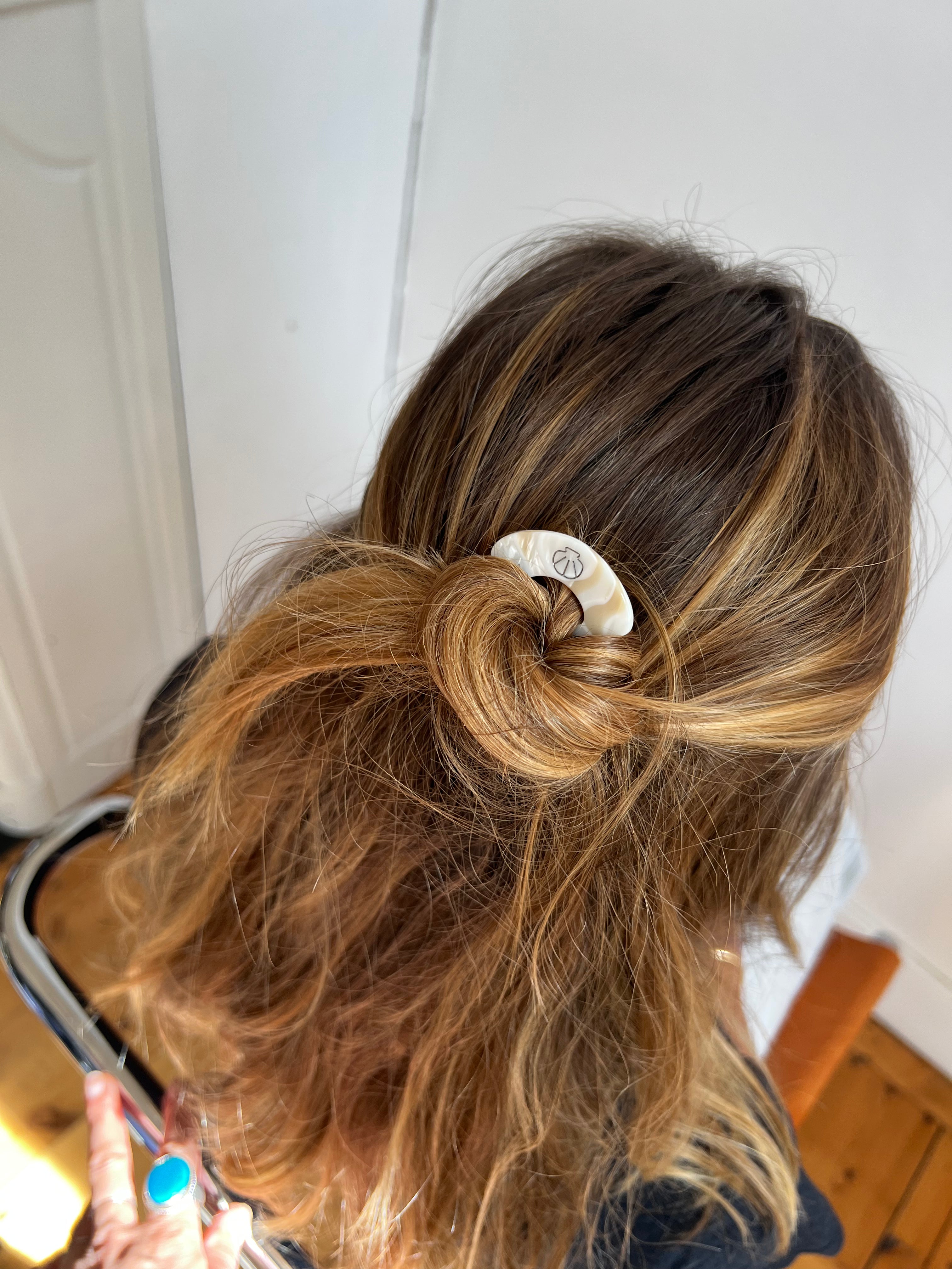 PICS À CHIGNON- Gipsy Maurice X 23 DEGRES