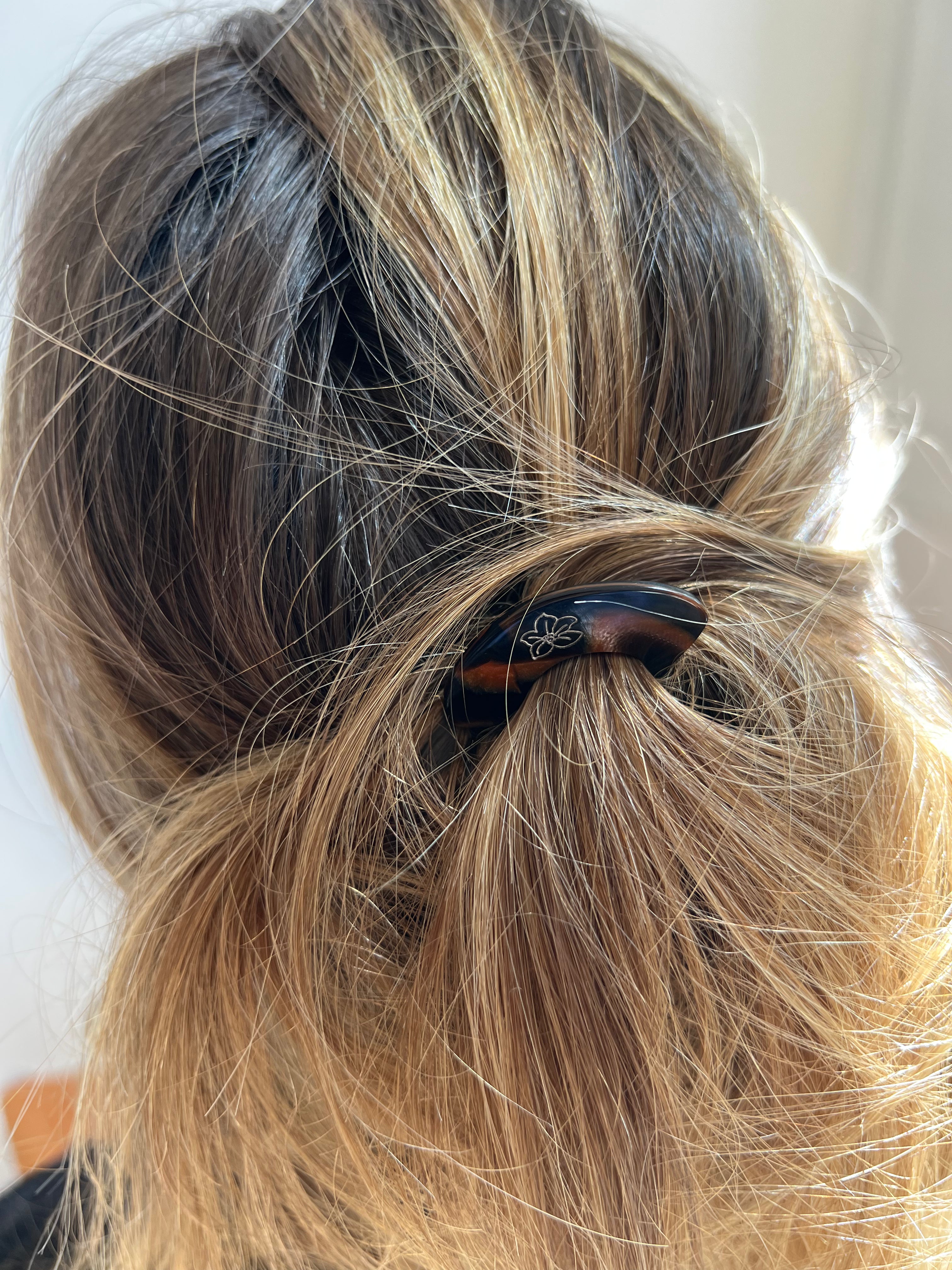 PICS À CHIGNON- Gipsy Maurice X 23 DEGRES