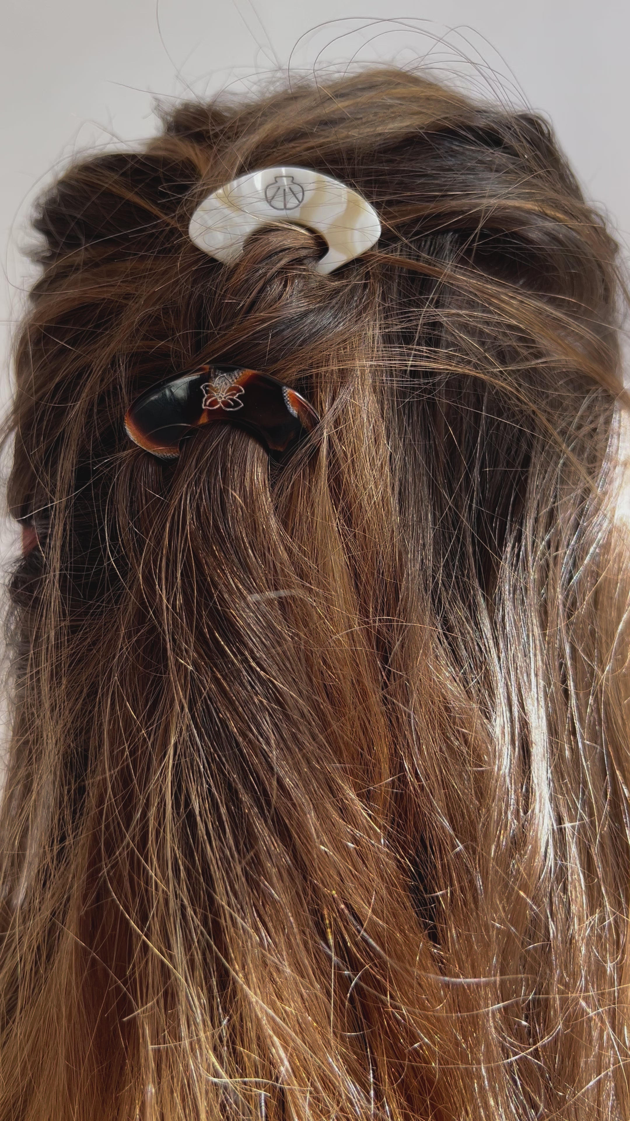 PICS À CHIGNON- Gipsy Maurice X 23 DEGRES