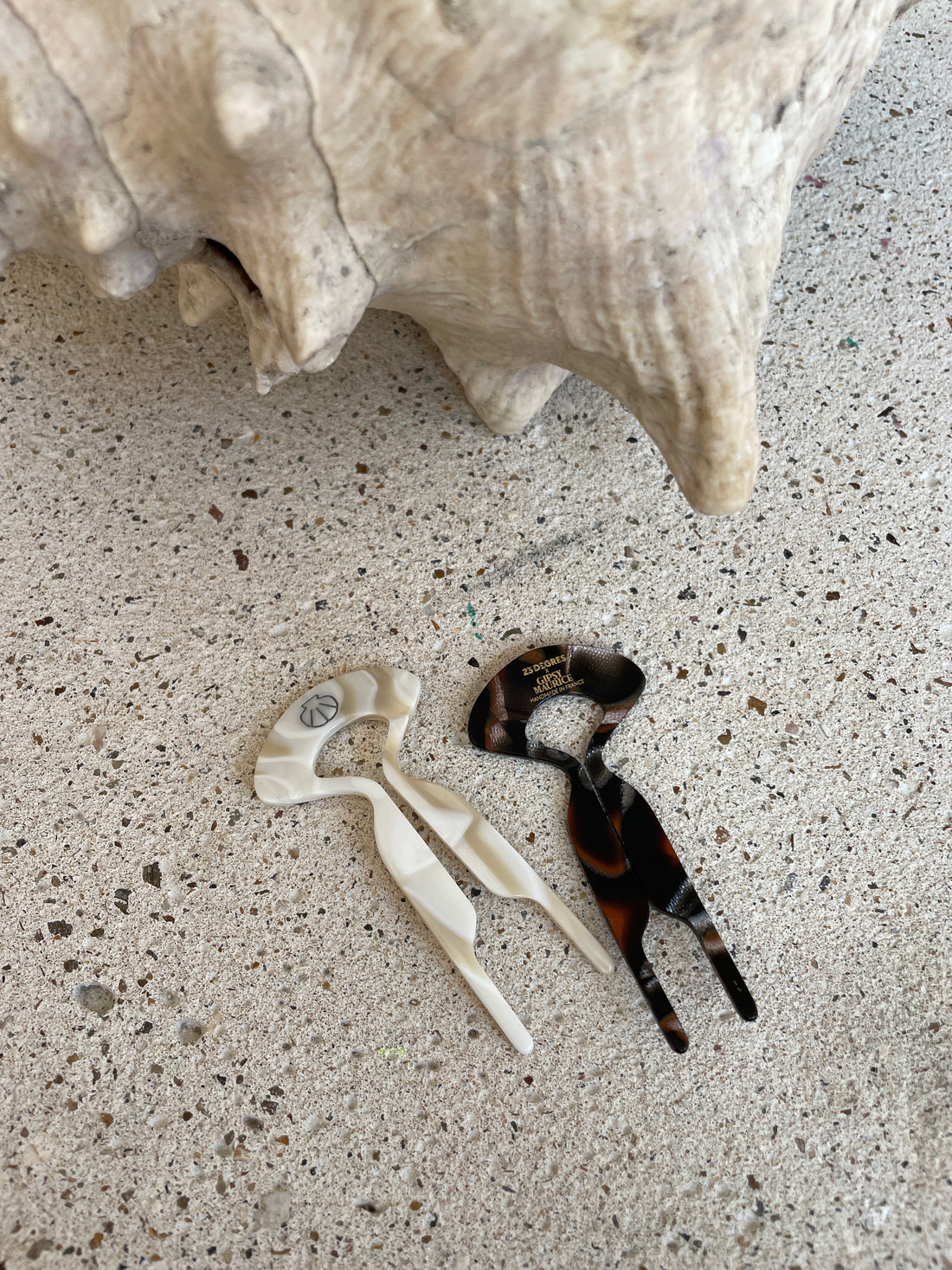 PICS À CHIGNON- Gipsy Maurice X 23 DEGRES