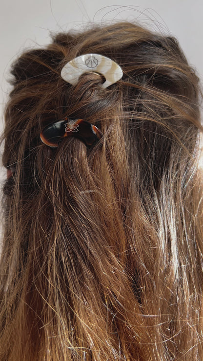 PICS À CHIGNON- Gipsy Maurice X 23 DEGRES